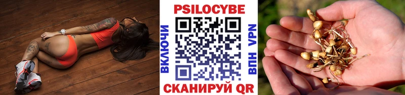 купить   Жуковка  это Telegram  Галлюциногенные грибы GOLDEN TEACHER 