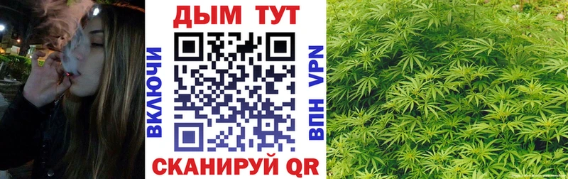 Каннабис марихуана  закладки  Жуковка 